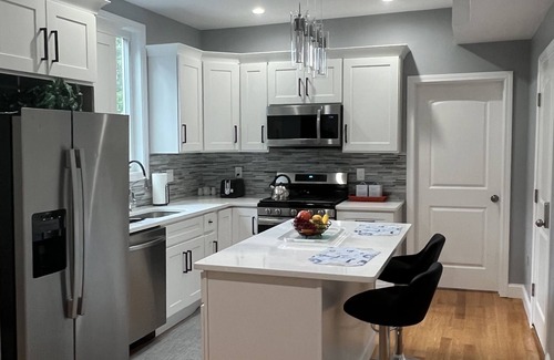 Dudley - Brunswick King Apartment | Luxury Rooms near downtown Boston