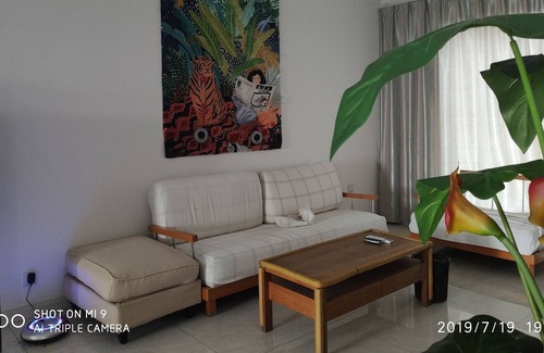 Luoyang Apartment | luxury suite next to luoyang ancient city
