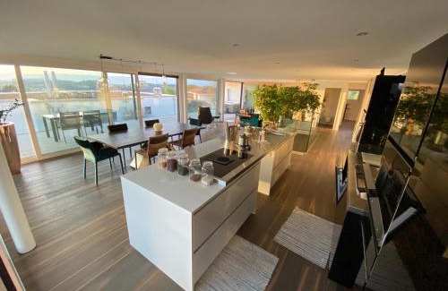 Gummenen Apartment | Luxusloft mit warmem Outdoor Whirlpool