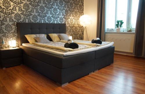 Nove Mesto na Morave Apartment | Luxusní Apartmán NMNM Family