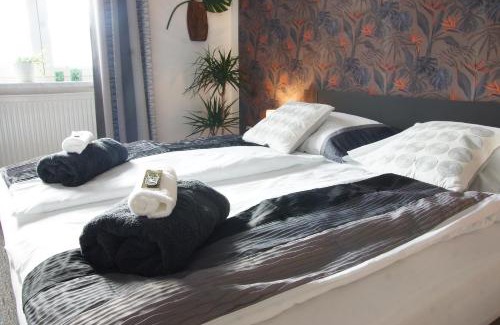 Nove Mesto na Morave Apartment | Luxusní Apartmán NMNM Family