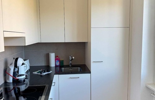 Lucerne Apartment | Luzern Apartment: Balcony, City Views & Netflix