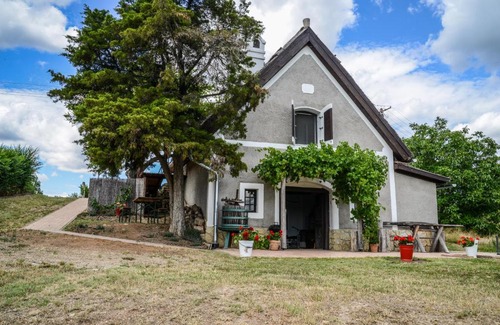 Aszofo House | Máli Pince