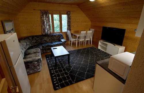 Seinajoki Apartment | Mökkitunnelmaa kaupungista