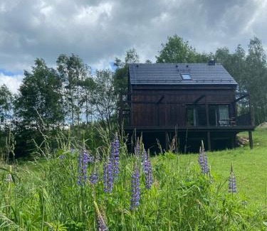 Stronie Slaskie Villa | Młynowiec 4Rest