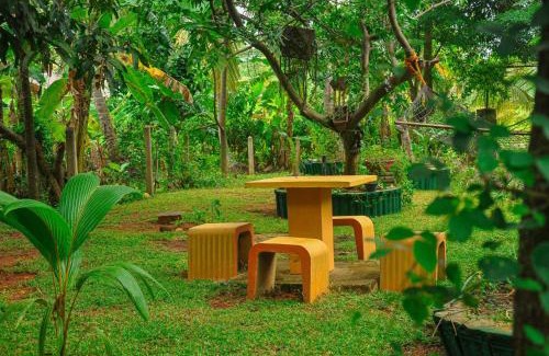Inamaluwa Cabin | Machcha Lodge Sigiriya