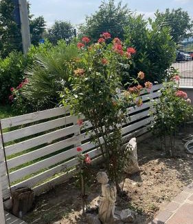 Quartiere XXIV Don Bosco Bed & Breakfast | Madonna dell'ancora