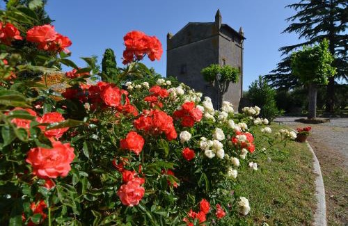 Viterbo House | Magica Torre Medievale