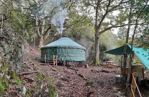 Caerdeon Cabin | Magical Woodland Yurt with stunning mountain and estuary views