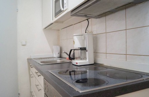 Matzleinsdorf Apartment | Magnificent 1BR Apt. Best for long stays w/Pets