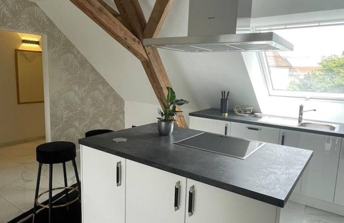 Gallenweiler Apartment | Magnificent Vosges view with 70sqm - quiet location