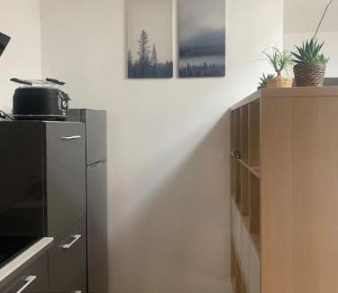 Saverdun Apartment | Magnifique appartement T2 en Centre VILLAGE