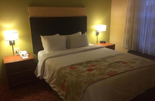 Potomac Falls Hotel | MainStay Suites Sterling near Dulles Town Center