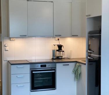 Vierema Apartment | Maisa's studio saunallinen huoneisto