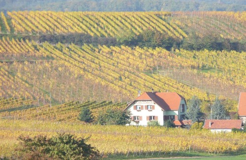 Eichhoffen House | Maison d'hôtes Les Feuilles d'Or