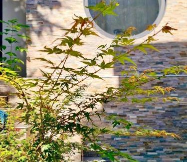 Bagneux House | Maison de Verdure proche de Paris