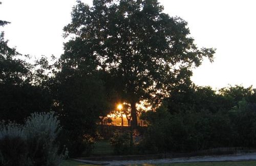 Bonnoeuvre House | Maison familiale avec piscine, grand jardin clos et équipements de loisirs - FR-1-306-898