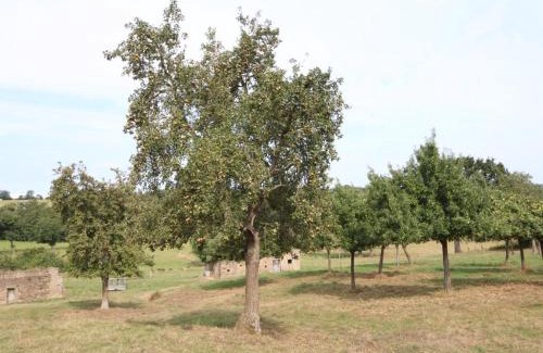 Tinchebray-Bocage House | Maison Normande avec Jardin Clôturé, Cheminée et Options Confort, près de la Roche d'Oëtre - FR-1-497-141