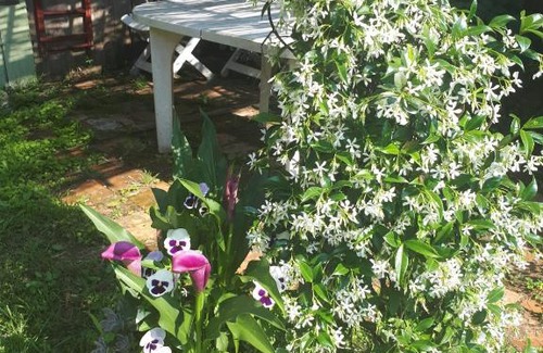 Mialet House | maison typique cévenole avec jardin