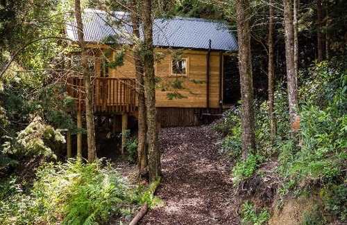 Nelson Region Hotel | Maitai Whare Iti - Adventure Cabins & House