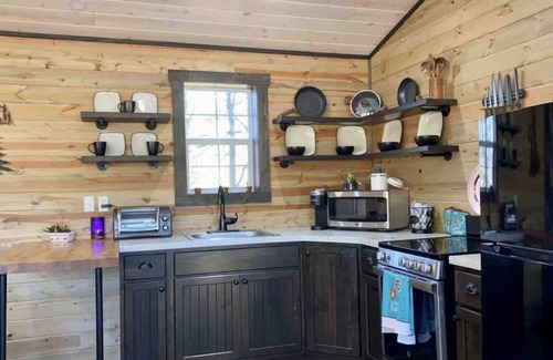 Marienville Cabin | Majestic Campfires Under The Stars, String Lights, and Tall Evergreen Trees