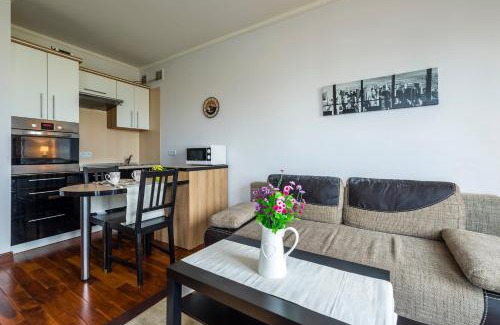 Psie Pole Apartment | Mala Italia Apartments