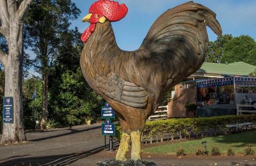 Balmoral Ridge Hotel | Maleny Hills Motel