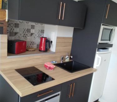 Malicorne-sur-Sarthe Apartment | Malicorn' Appart-Hôtel