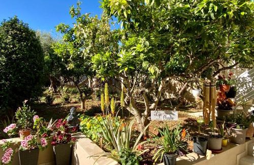 Mosta Bed & Breakfast | Maltese Garden Villa