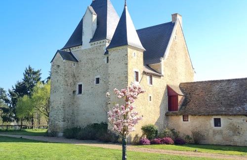 Roeze-sur-Sarthe House | Manoir de la Beunèche - location du manoir entier