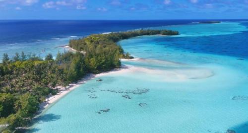 Tubuai Bed & Breakfast | Mara'ai le spot Tubuai Chambre triple Taahueia Deluxe SDB privée avec piscine