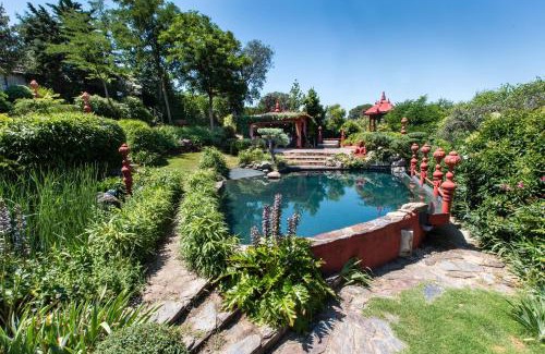 Santa Cruz del Retamar House | Maravilloso Jardin Oriental