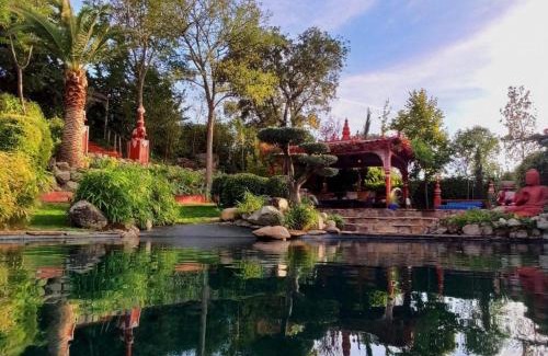 Santa Cruz del Retamar House | Maravilloso Jardin Oriental