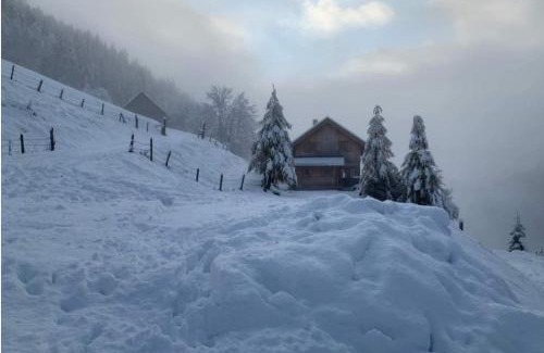 Reichenau Cabin | Marhütte