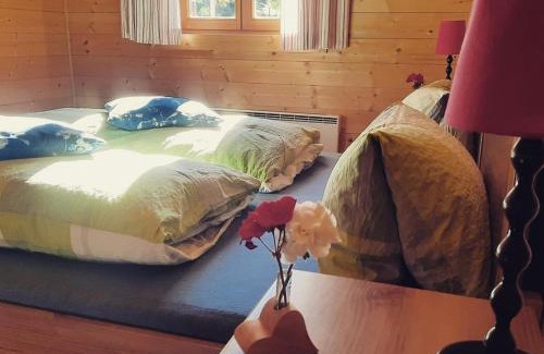Reichenau Cabin | Marhütte