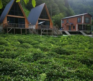 Ayder Ski Chalet | Mariposa Bungalov