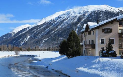 Celerina-Schlarigna Apartment | Marmotta
