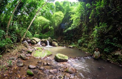 Le Morne-Vert Cabin | Martinique Treehouse