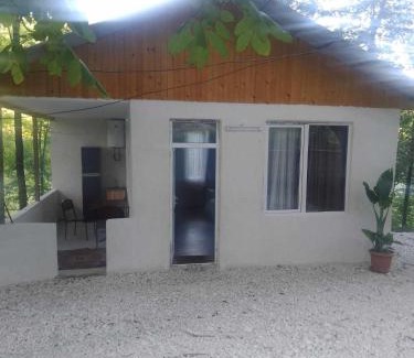 Salkhino Apartment | Martvili Canyon Cottage in the Forest