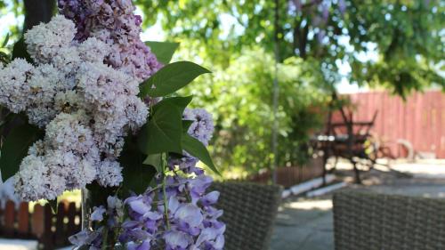 Luncavita House | Mary's Country House