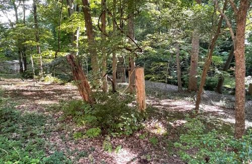 High Point Apartment | Mary's Place - Studio surrounded by nature but close to High Point