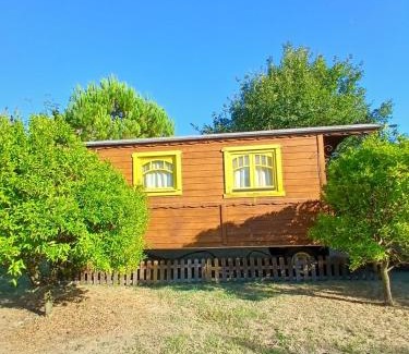 Arles House | Mas d'Alivon
