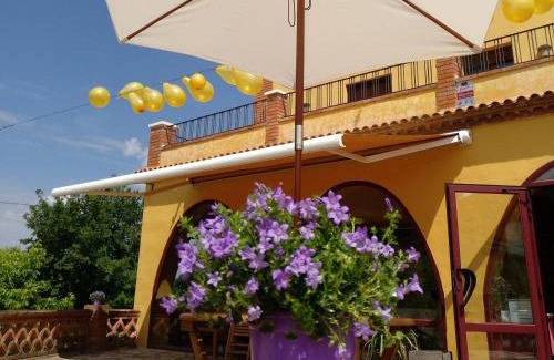 Falset Bed & Breakfast | Mas Trucafort - Masia Braseria - Alojamiento Adults only