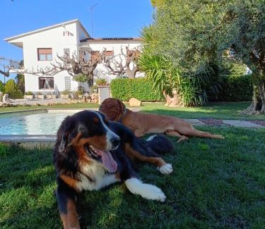 San Martin Sarroca House | Masia Cal Tonarro