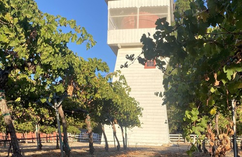 Greenfield House | Massa Estate & Vineyard
