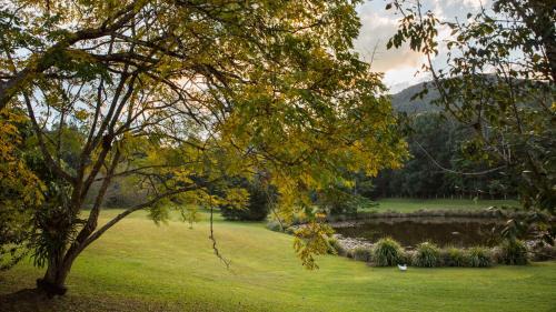 Mount Warning Apartment | Mavis's Cabins @ Mt Warning