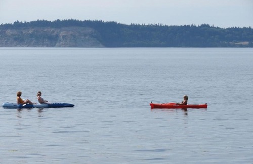 Maxwelton House | Maxwelton Beach Sunsets! Kayaks & paddleboards! 1 min walk to the water!