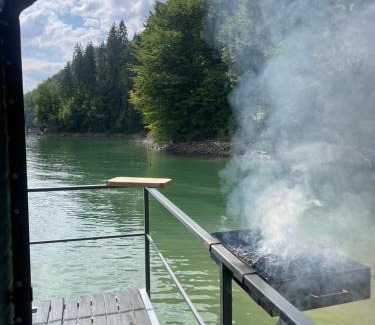 Bicaz House | Maya Lake House Ponton Bicaz