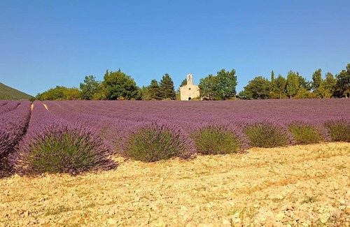 Sainte-Jalle House | Mazet en provence pour 4, piscine chauffée privée, jardin clos privé, barbecue, chiens admis