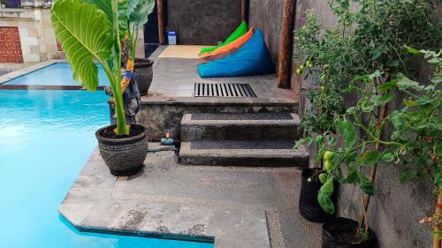 Pejarakan Bed & Breakfast | Menjangan View